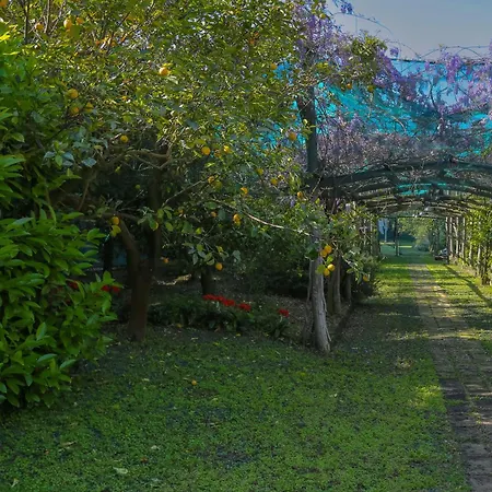 De Vivo Realty - Villa Blue Skyline * Massa Lubrense