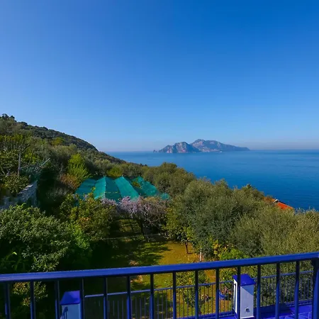 Estate4home - Blue Skyline *